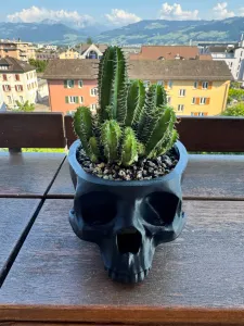 Skull cactus pot