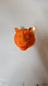 rhino head