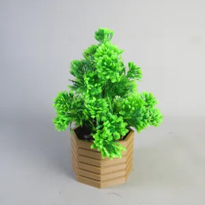 Hexagonal Bonsai Pot