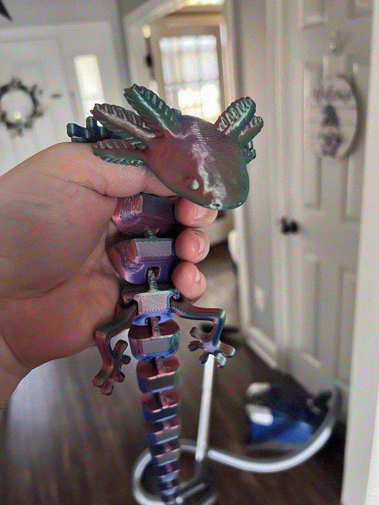 Articulated Axolotl