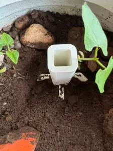 Vase irrigator