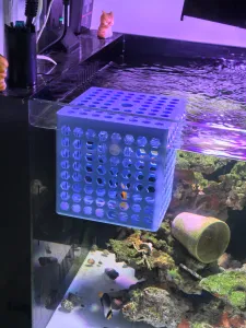 鱼缸隔离盒子