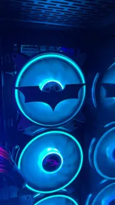Batman Fan Cover