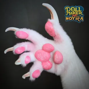 Little kitten claws and paws