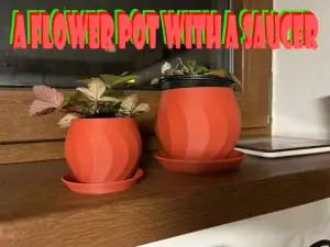 A flower pot with a saucer
