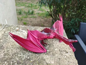 dragon rouge