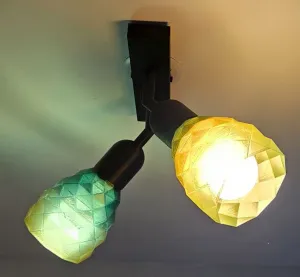2LT Ceiling Bar
