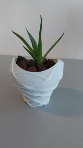 Pot Interior Decor A
