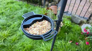 Bird Bath Feeder Nut Tray