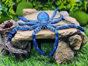 Spider 360 Flexi