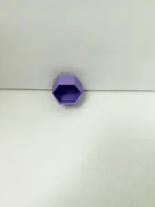Spider Terrarium Pod