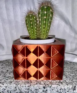 luxurious planting pot for small plants