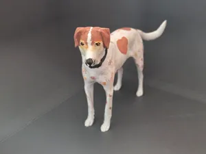 Pointer/American Foxhound