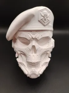 Soldier skull