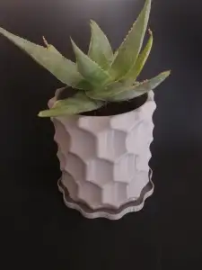 Eclipse Planter