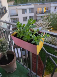 Hanging pot for balcony