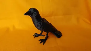 Crow