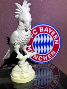 Kakadu FC BAYERN
