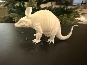 Armadillo