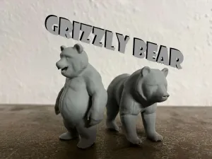 Grizzly bear
