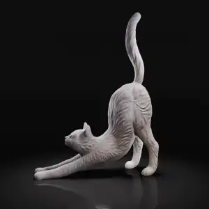 Stretching cat