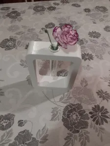 test tube stand