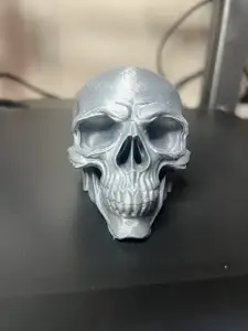 Skull Star Picket Cap