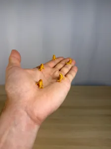 Mini Croissant Buddy