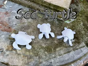 Sea turtle