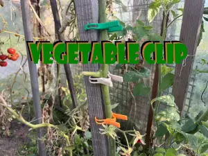 Vegetable peg