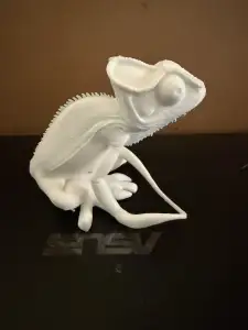 Lizard 3