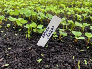 Gardening markers