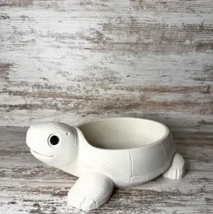 Cute Turtle bowl