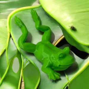Frog on belly