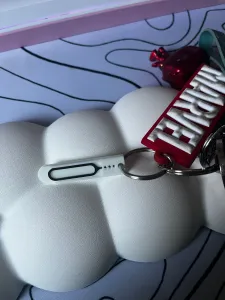 Keychain supported SIM Card Holder
