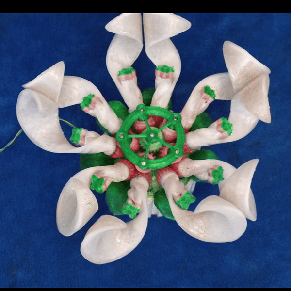 Dancing flower