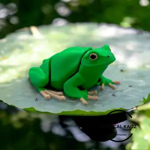 Flexy Frog - The Articulating Pond Hopper