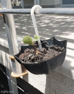 Cute Hanging Umbrella Planter - Easy Print