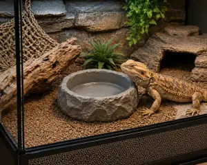 stone bowl
