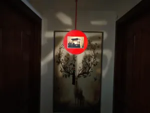 Hui yan feng Painting - shadow lantern