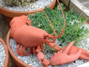 [EXCLUSIVE] The Lobster Toy Creation Kit