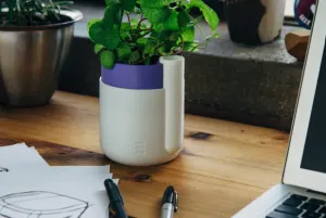 FlowerPOT