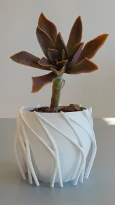 Pot Interior Decor P