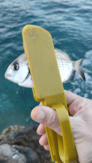 FishClamp Go – For Catch & Release