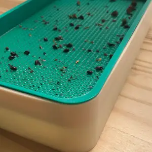 10x20 seed grower