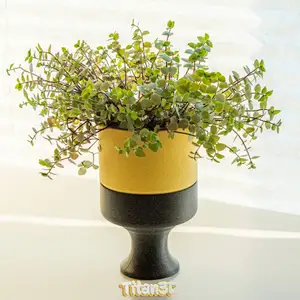 Planter with Hidden Compartment