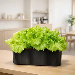 Hydroponic Planter (Dual Size) , F&F格柵造型水耕盆(雙尺寸)