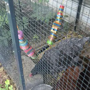 Chicken swing/ pirch for you coop with play beads Version 2