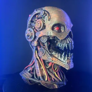 Cyborg
