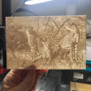 Leapords Night Light Litho